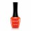 Гель лак KONAD Gel Nail - 12 Red Orange (красно-оранжевый) 10 мл