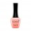 Гель лак KONAD Gel Nail - 54 Peach Echo (персиковый) 10 мл
