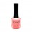Гель лак KONAD Gel Nail - 53 Lovely Pink (розовый) 10 мл